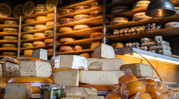 Cheese